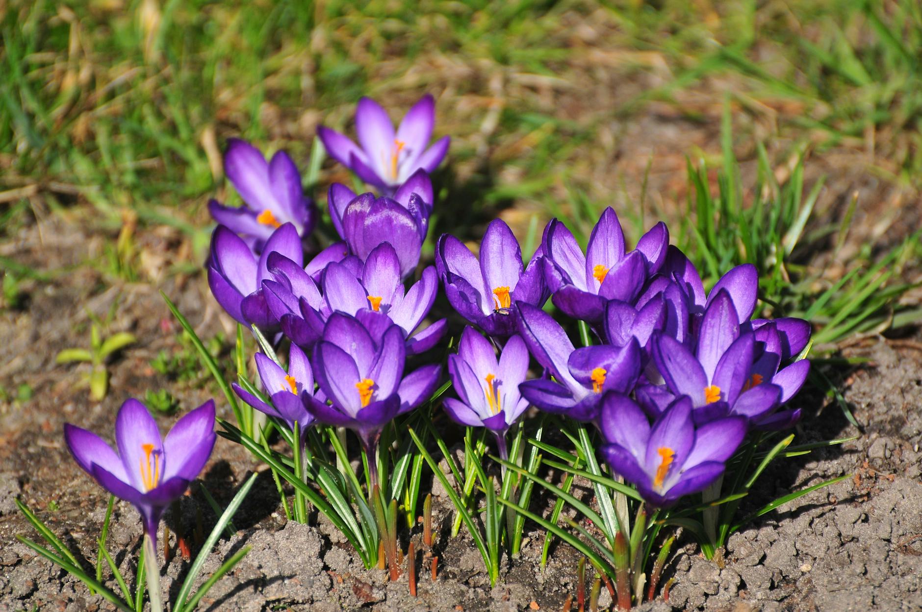 Siedlce inwestuje w młodych liderów. Nowa dotacja dla inicjatyw